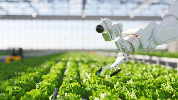 Precision Agriculture and Data Analytics