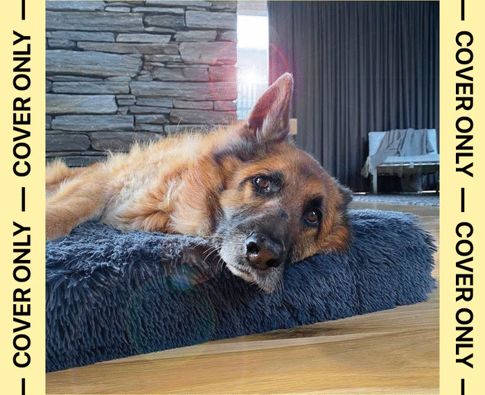 Why Smart Pet Owners Buy Spare Dog Bed Covers for Everyday Convenience