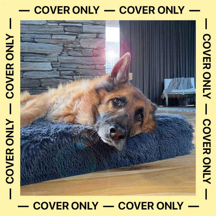 Why Smart Pet Owners Buy Spare Dog Bed Covers for Everyday Convenience